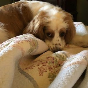 Meet your Posher, Bertha